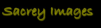 Main Logo